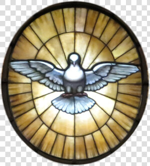 Drawing Holy Spirit Dove  HD Png Download