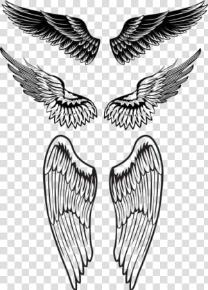 Wings Tattoo Png Background Image   Wings On Chest Tattoo Small  Transparent Png