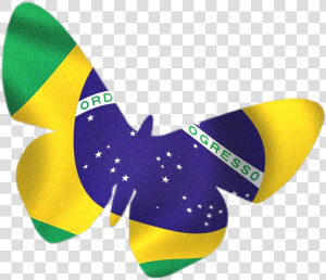 Bandeira Do Brasil Estilizada Em Png   Flag Of Brazil  Transparent Png