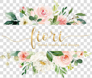 Fiori Floral Studio  HD Png Download