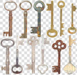 Horse Tack  HD Png Download