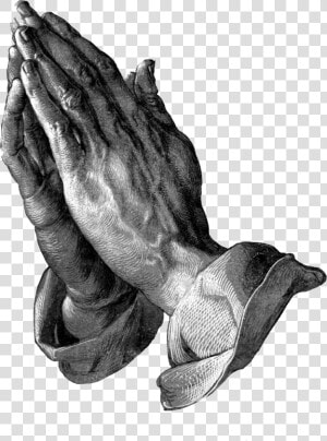 Praying Hands Png   Albrecht Durer Praying Hands Vintage  Transparent Png