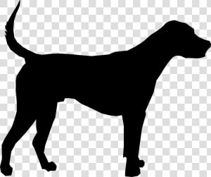 Great Dane Puppy Dog Breed Clip Art   Dog Breed  HD Png Download