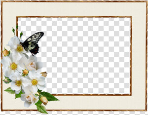 Transparent White Rose Border Png   Positive Thursday Blessing Quotes  Png Download