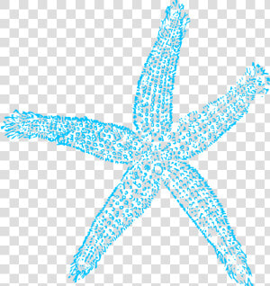 Starfish Label Svg Clip Arts   Blue Clip Art Starfish  HD Png Download