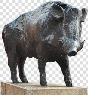 Boar Png  Transparent Png