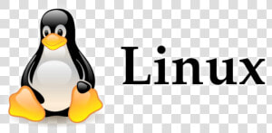 Linux Penguin Logo Png   Linux Logo Png Transparent Background  Png Download