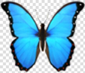  emoji  emojiface  emojis  cute  aesthetic  multicolor   Blue Butterfly Emoji Png  Transparent Png