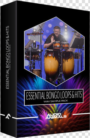 Essential Bongo Loops  amp  Hits   Flyer  HD Png Download