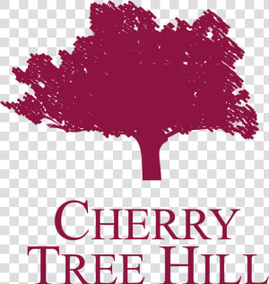 Cherry Tree Hill   Curry Tree  HD Png Download