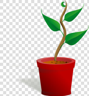 Clip Art Library Huge Freebie   Getting To Know Plants  HD Png Download