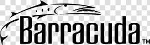 Barracuda Logo Png Transparent   Graphics  Png Download