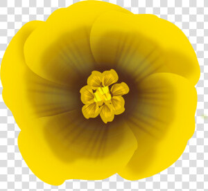 Flower Yellow Icons Png   Desenho Flor Amarela Png  Transparent Png