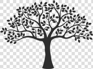 Vector Graphics Illustration Silhouette Royalty free   Tree Black And White  HD Png Download