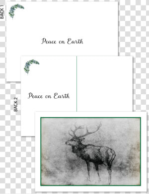 Majestic Stag Holiday Postcard data caption   Elk  HD Png Download