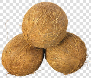 Husked Coconut   Coconuts Png  Transparent Png