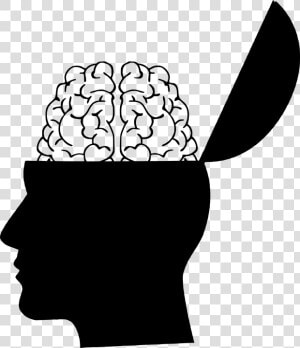 Cerebro  La Cabeza  Silueta  Creatividad  Creo Que   Head Silhouette With Brain  HD Png Download