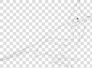 Black And White  Line Art  Art Bard  Drawn  Artist   Sketch  HD Png Download