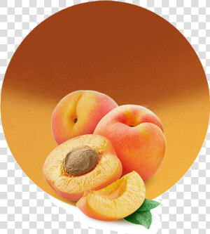 Apricot Fruit In Nepali  HD Png Download