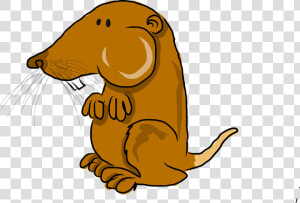 Pocket Gopher  Mammal  Cartoon   Transparent Cartoon Gopher  HD Png Download