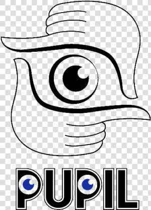 Pupil  HD Png Download