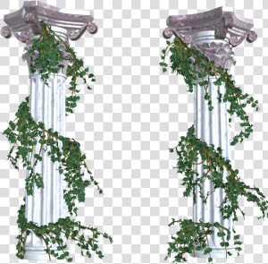 Beautiful Columns With Vines Png Decorative Elements   Greek Columns With Vines  Transparent Png