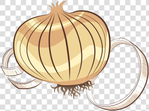 Onion Clipart Onion Vegetable  HD Png Download