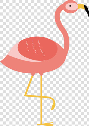 Flamingo Bird Illustration   Flamingo Vector Png  Transparent Png