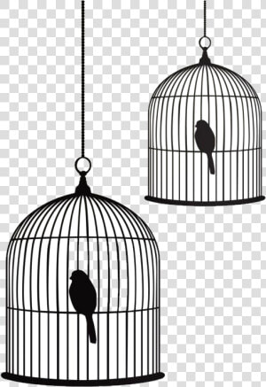 Birdcage Stencil Drawing   Bird And Cage Drawing  HD Png Download