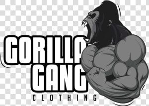 Gorilla Gang Clothing   Gorilla Gang  HD Png Download