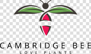 Cambridge Bee  HD Png Download