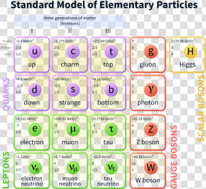 Standard Model Of Elementary Particles  HD Png Download