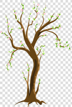 Springtime Tree Png Black And White   Tree In Spring Clipart  Transparent Png