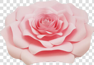 Light Pink Rose Png   Light Pink Roses Png  Transparent Png