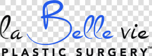 La Belle Vie Plastic Surgery Wilmington Nc   Calligraphy  HD Png Download