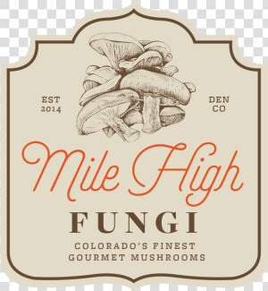 Milehighfungi   Fungus  HD Png Download