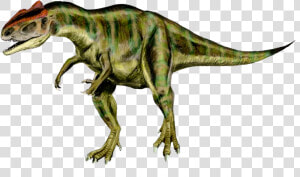 Allosaurus 2   Allosaurus Png  Transparent Png