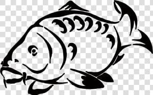 Tuna Fish Clipart Black And White Clip Free Library   Carp Fish Drawing  HD Png Download