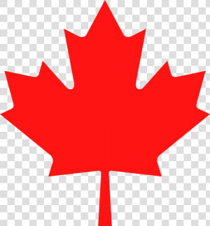 553px lib Maple Leaf   Canadian Red Maple Leaf  HD Png Download