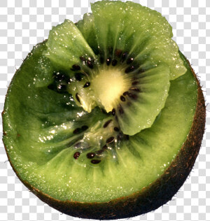 Kiwifruit green hardy   Kiwifruit Tree In Png  Transparent Png