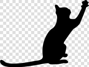 Cat Black Silhouette With Extended Tail And One Paw   Cat Silhouette Paw Up  HD Png Download