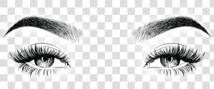 Transparent Eyebrow Png  Png Download