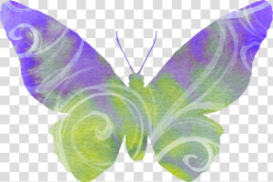 Butterfly  Purple  Green  Clipart  Cute  Flying  Wings  HD Png Download