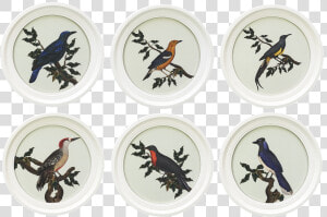 Engraving Oiseaux Buffon Round White  Set Of 6 Title   Oiseaux Buffon  HD Png Download