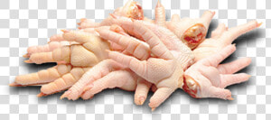 Transparent Pollo Png   Chicken Feet Food Raw  Png Download