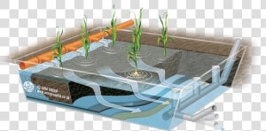 Aerated Vertical Flow Wetlands  HD Png Download