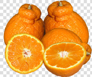 Mandarins  Citrus  Fruit   Rangpur  HD Png Download