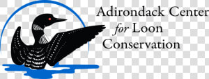 Aclc Logo Bt Right 4 18   Loon Logo  HD Png Download