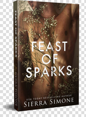 Feast Of Sparks Paperback Mock   Flyer  HD Png Download