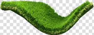 Desert Oasis Wavy Green Artificial synthetic Grass turf   Lawn  HD Png Download